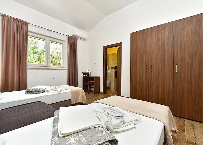 Olgica 2269 * 풀라