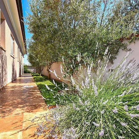 Olgica 2269 Holiday home