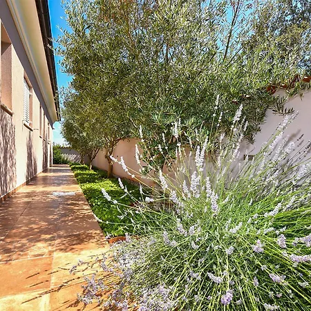 Olgica 2269 Ferienhaus